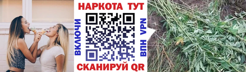 Купить наркотики цена Новочеркасск МЕГА зеркало  A PVP  Марихуана  Амфетамин  Псилоцибиновые грибы  Меф мяу мяу  Cocaine 