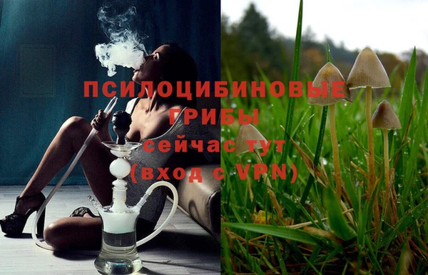 СК Костерёво