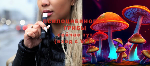 гашик Корсаков