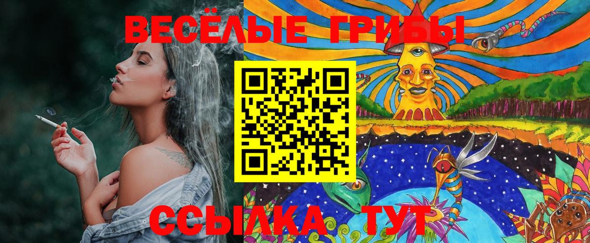 Галлюциногенные грибы Psilocybine cubensis  Вход с VPN  Новочеркасск  Галлюциногенные грибы GOLDEN TEACHER 