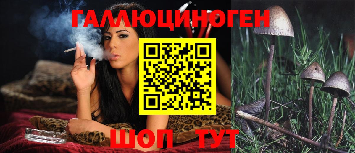 Псилоцибиновые грибы Psilocybine cubensis Новочеркасск
